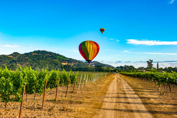 Napa Valley Places to Visit in California